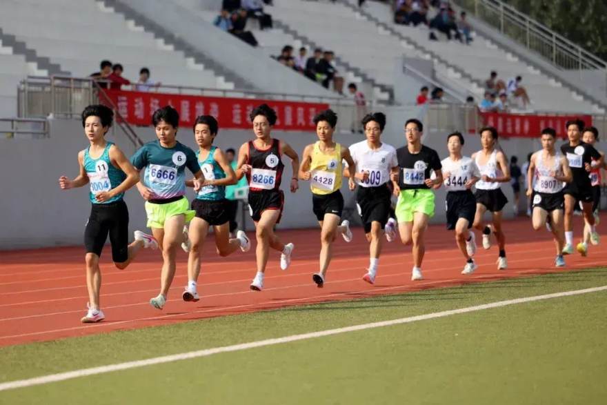 转会窗口怎么读：球迷必知的注册规则、薪资结构与阵容磨合常识
